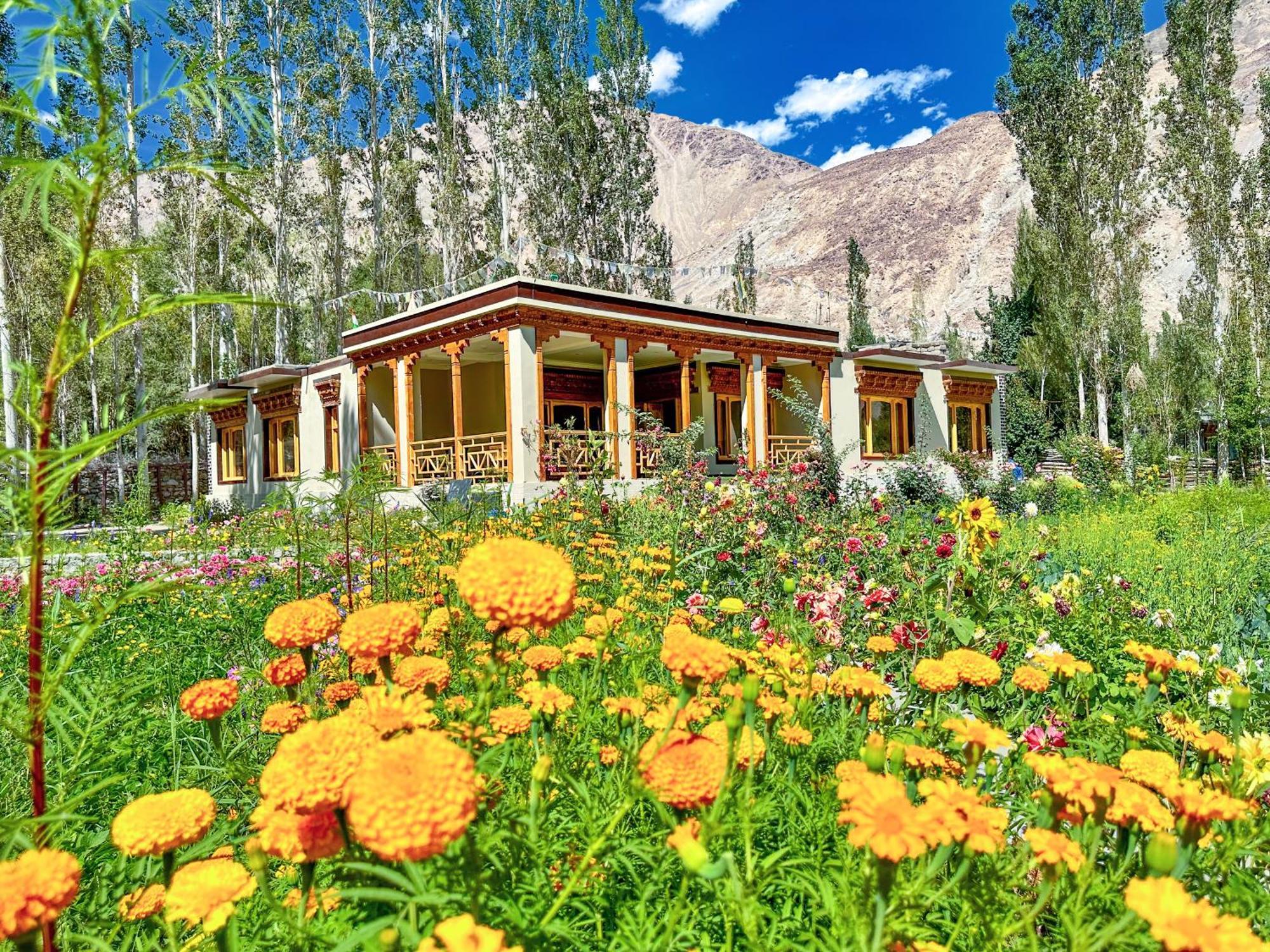 Hotel De Khama à Nubra Extérieur photo